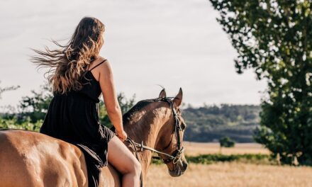 Giv dig selv og din hest den bedste sommerferie